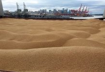 Zelenski a acuzat Israelul că a primit bunuri furate, susținând că cereale din teritoriile ucrainene sunt transportate în portul Haifa