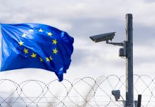 Șeful diplomației germane propune renunțarea la principiul adoptării deciziilor în unanimitate în Uniunea Europeană