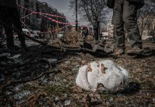 FT: Polonia pregătește o acțiune în justiție pentru a cere despăgubiri Rusiei. „Putem oferi un link către opera «Ivan Susanin»”, au răspuns reprezentanții MAE rus