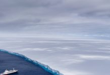„A23a s-a terminat”. Icebergul considerat cel mai mare din lume a pierdut 99% din suprafața sa