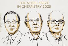 Premiul Nobel pentru chimie a fost acordat „pentru dezvoltarea structurilor-cadru metalo-organice”