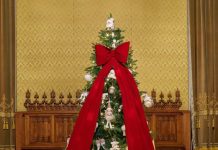 Mesajul de Crăciun al președintelui Nicușor Dan: familie, credință și încredere în viitorul României