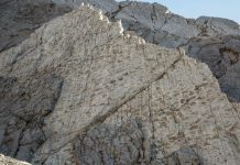 Mii de urme de dinozauri descoperite pe un munte din Italia | Video