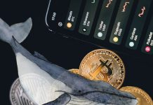 Cum au furat infractorii din zona crypto 700 de milioane de dolari de la oameni – adesea folosind trucuri vechi de când lumea