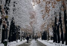 Noaptea de luni va fi cea mai geroasă noapte din acest sezon: minime de până la –20 de grade, –15 grade în București