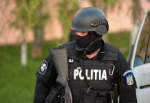 Percheziții în Capitală și două județe: 12 tone de portocale cu pesticide peste limită, vândute cu etichetă falsă