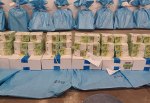 Ucraina cere Ungariei să returneze zeci de milioane de dolari și euro, precum și nouă kilograme de aur confiscate de la colectori de valori ucraineni