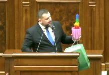Senator AUR aduce un cactus în culorile curcubeului în Parlament și îl dedică USR: moment hilar în plen