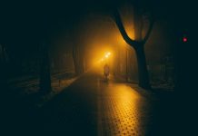 Rețea de spionaj pro-rus destructurată în Europa: o româncă și un ucrainean, arestați în Germania și Spania