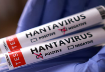 Noi informații despre pacientul suspect de hantavirus din Arad: ar fi trăit în condiții care favorizează contactul cu rozătoarele