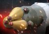 Zelenski: Rusia pregătește un atac cu sistemul hipersonic „Oreșnik”, proiectat pentru a transporta arme nucleare, asupra Ucrainei