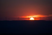 „Aceasta este schimbarea climatică”: Oamenii de știință spun că valul de căldură din Europa ar fi fost imposibil fără încălzirea globală