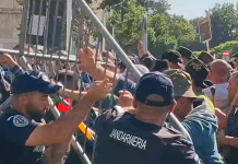 Îmbrânceli și gaze lacrimogene la protestul oierilor din București. Ciobanii cer demiterea șefului ANSVSA și reluarea exporturilor