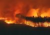 „Urmează ore dificile” în lupta cu incendiile, avertizează Pedro Sánchez, în timp ce peste 300.000 de oameni au fost evacuați din Franța și Spania