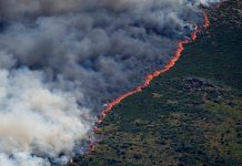 Peste 250.000 de oameni evacuați din Franța și Spania din cauza incendiilor de vegetație. Madridul, sub alertă din cauza fumului