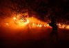 Incendii care ard cu intensitatea unor „bombe atomice”. Europa intră într-o nouă eră a mega-incendiilor