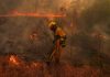 Incendiile de vegetație au adus Franța în „cea mai dificilă situație de la Al Doilea Război Mondial”, avertizează Macron