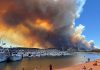 Incendiu devastator în Spania: Cel puțin 12 morți și 23 de persoane dispărute după izbucnirea unui incendiu de vegetație în Andaluzia