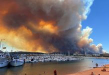 Incendiu devastator în Spania: Cel puțin 12 morți și 23 de persoane dispărute după izbucnirea unui incendiu de vegetație în Andaluzia