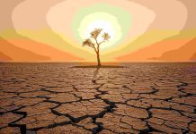 Un fenomen „super” El Niño ar putea provoca un șoc global al prețurilor alimentelor până în 2028, avertizează economiștii
