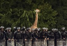 Fermierii amenință că pleacă din București și blochează Valea Oltului și Comarnic. Ultimatum pentru Guvern: „Scoatem combinele și tractoarele”